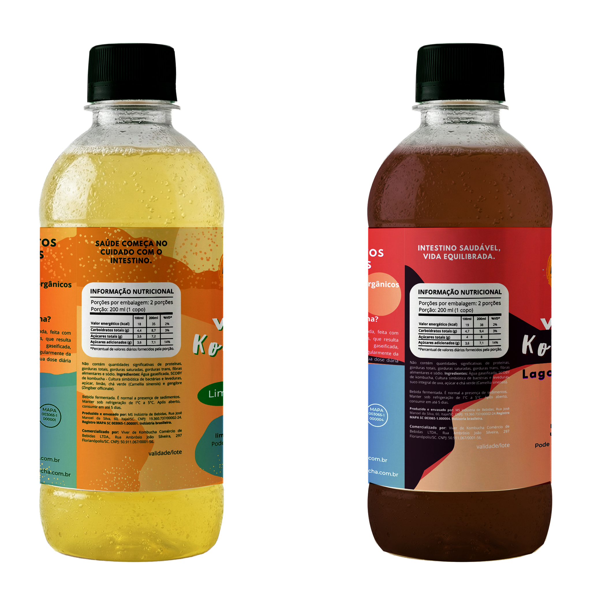 Kit com 12 Kombuchas de Limão com Gengibre e Uva 400ml