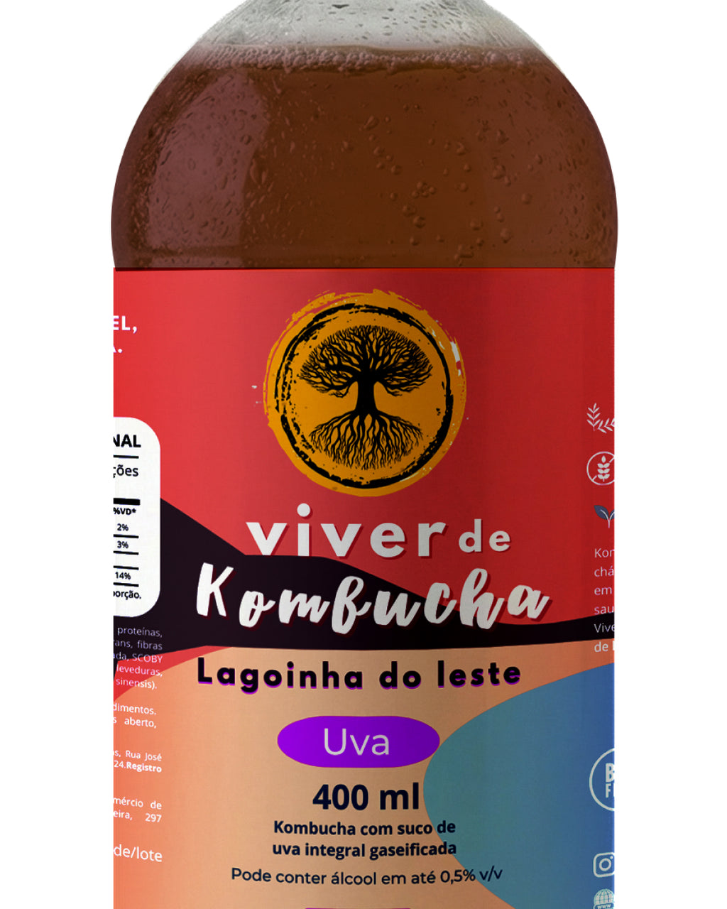 Kit com 24 Kombuchas de Uva e Maracujá