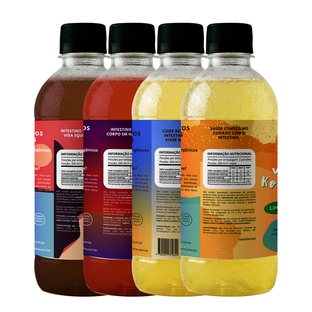 Kit com 12 Kombuchas de Sabores Sortidos