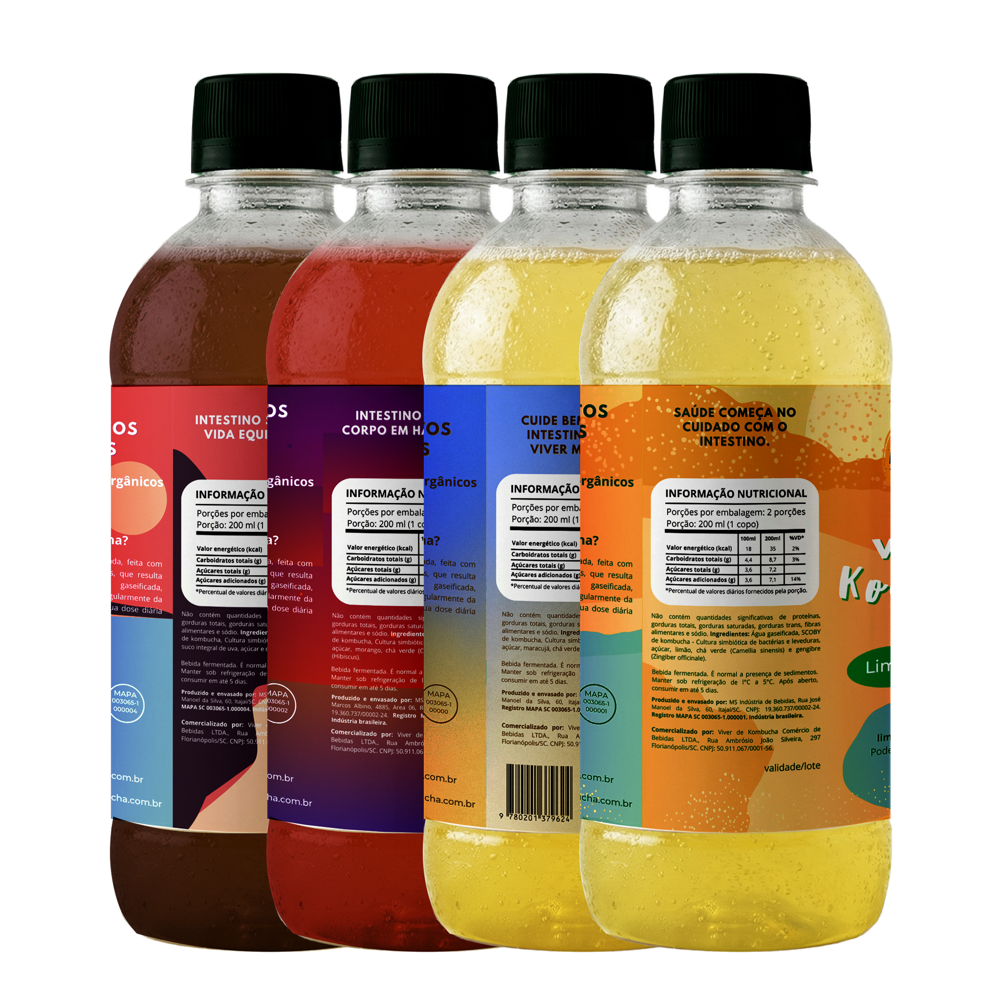 Kit com 12 Kombuchas de Sabores Sortidos