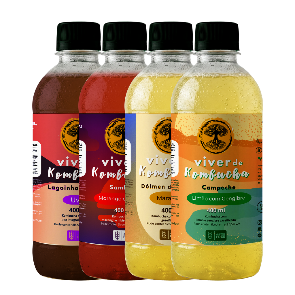 Kit com 24 Kombuchas de Sabores Sortidos