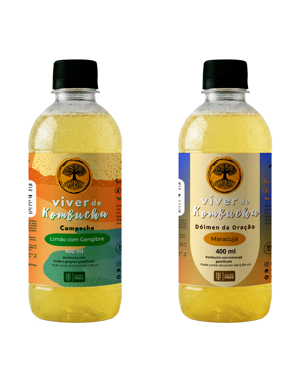 Kit com 12 Kombuchas de Sabores Sortidos