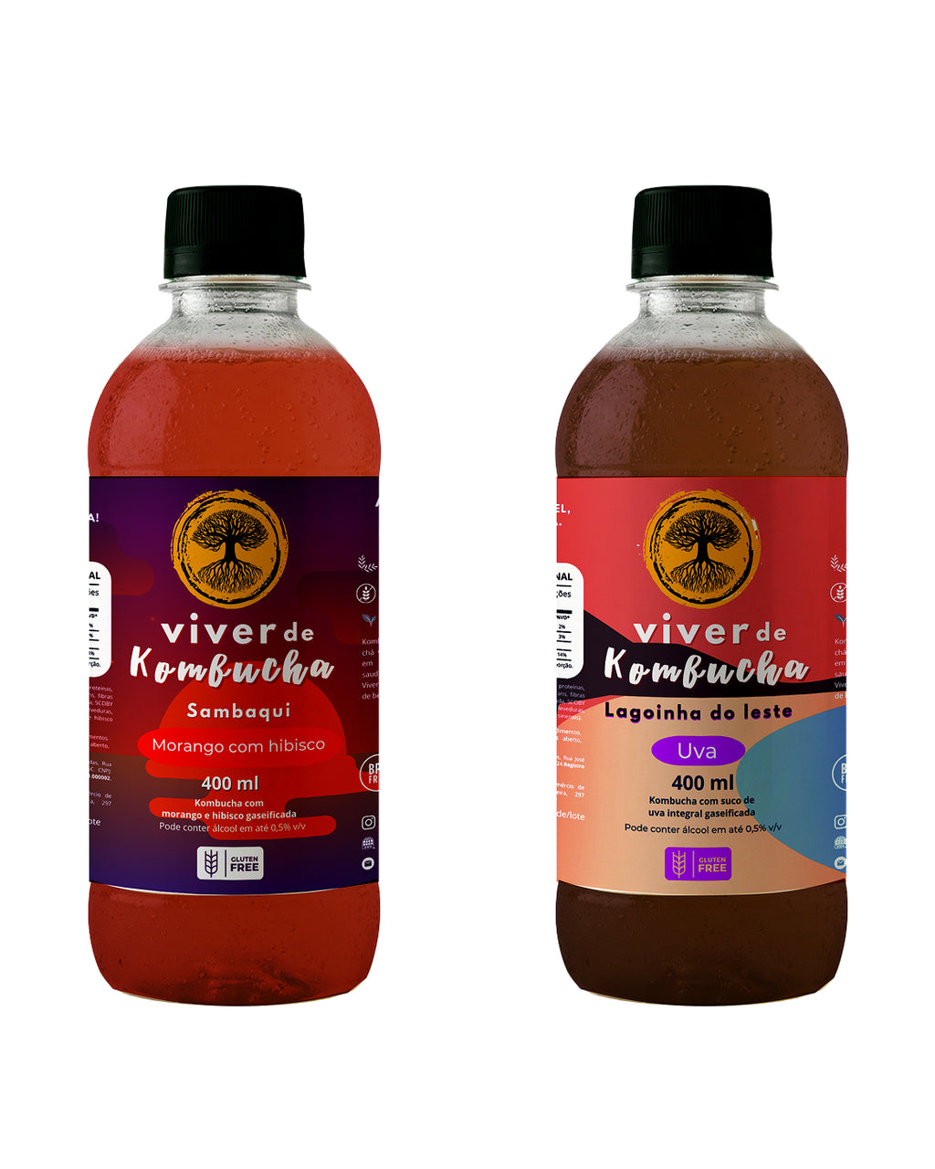 Kit com 12 Kombuchas de Sabores Sortidos