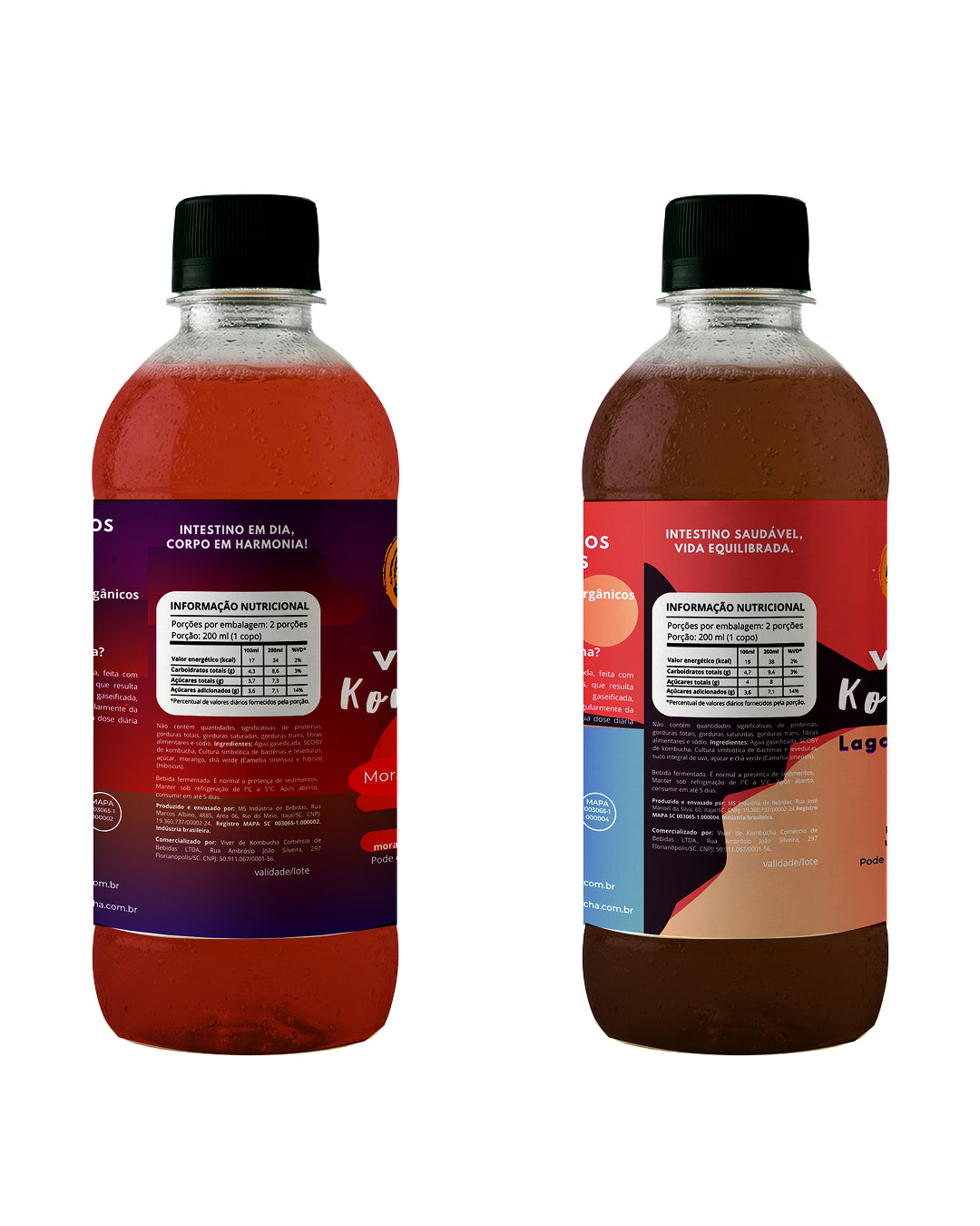 Kit com 12 Kombuchas de Sabores Sortidos