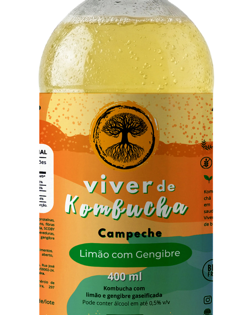 Kit com 12 Kombuchas de Sabores Sortidos