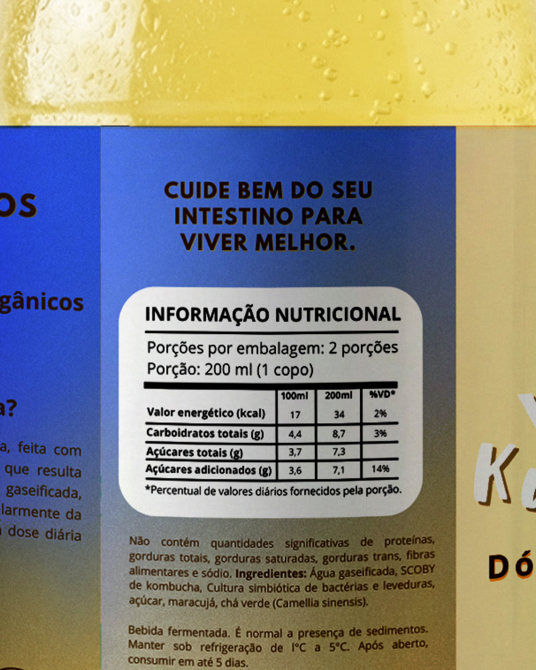 Kit com 12 Kombuchas de Sabores Sortidos