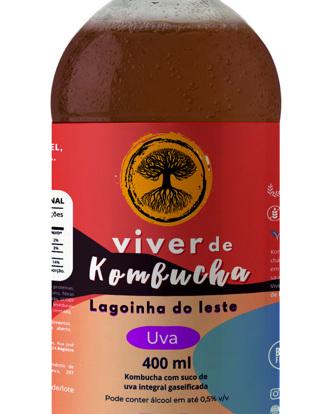 Kit com 12 Kombuchas de Sabores Sortidos