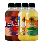 Kit com 12 Kombuchas de Sabores Sortidos