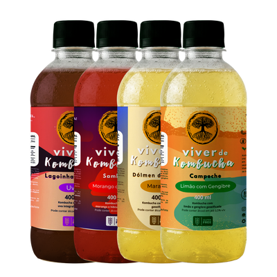 Kit com 12 Kombuchas de Sabores Sortidos