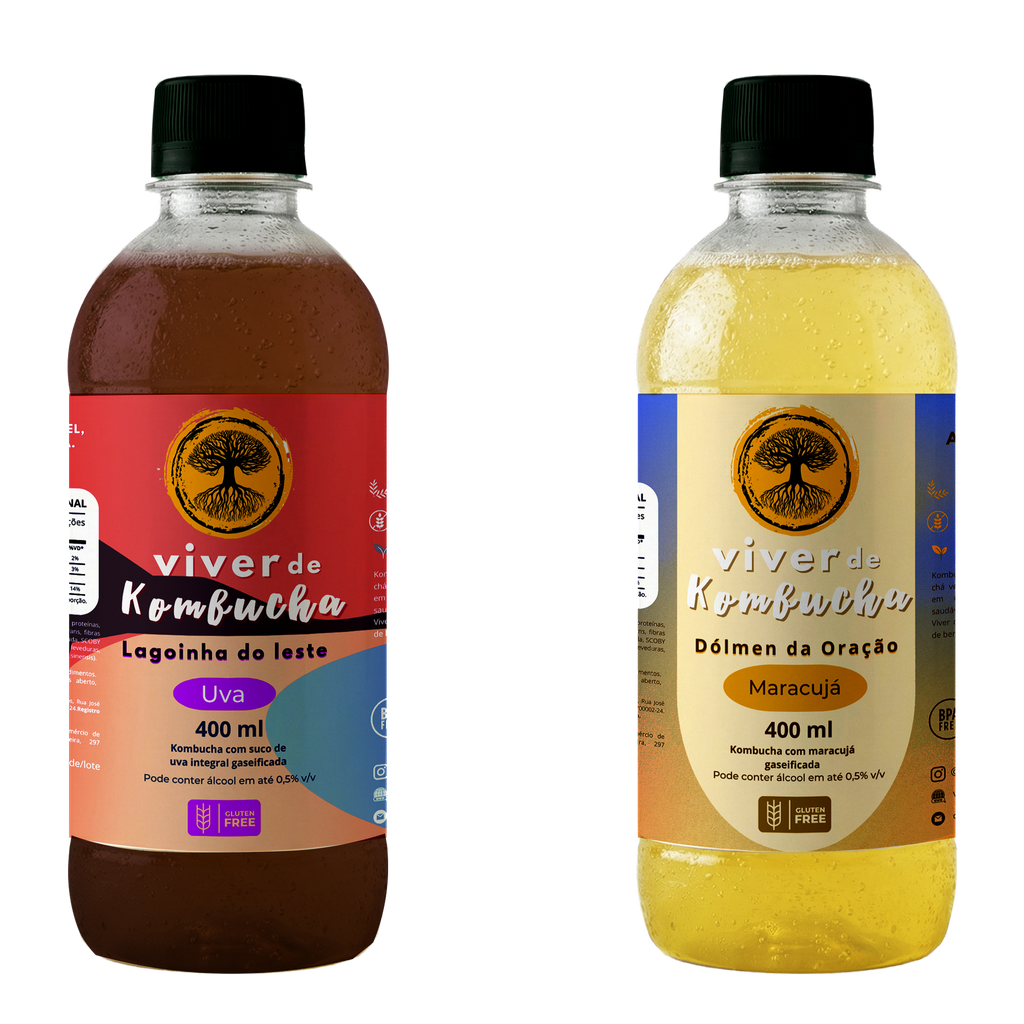 Kit com 24 Kombuchas de Uva e Maracujá