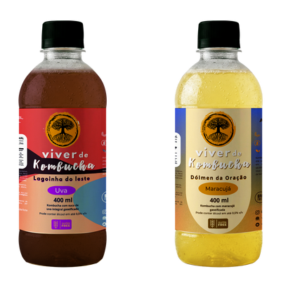 Kit com 24 Kombuchas de Uva e Maracujá