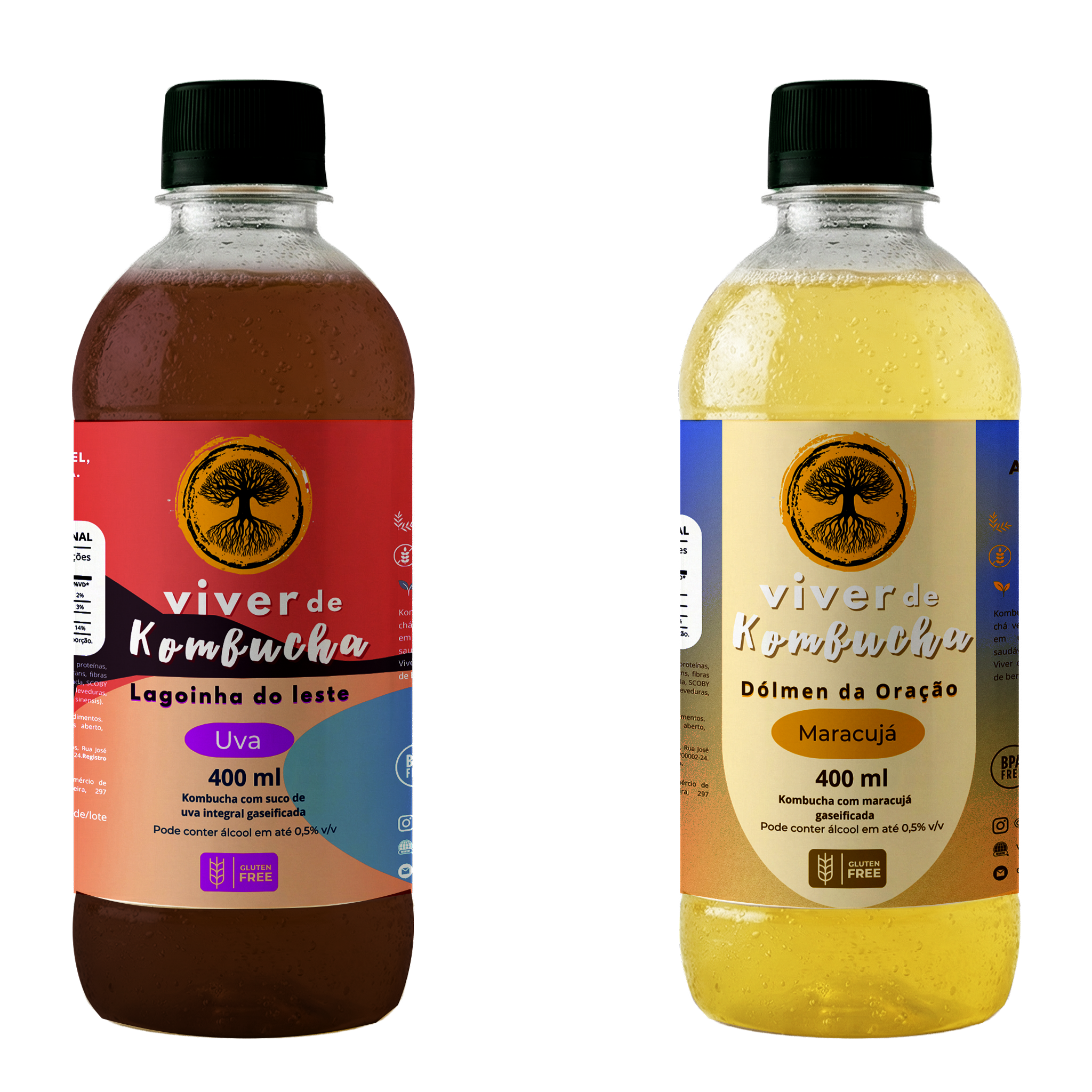 Kit com 12 Kombuchas de Uva e Maracujá