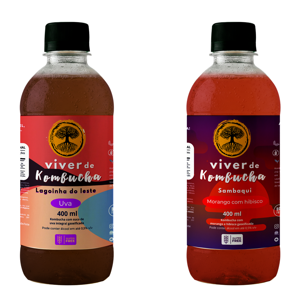 Kit com 12 Kombuchas de Uva e Morango 400ml